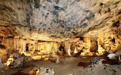 Oudtshoorn Attractions: Exploring the Best of the Klein Karoo