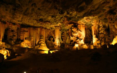 Descend into Wonder: Cango Caves Adventure Tours