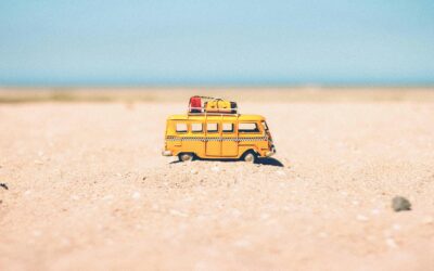 A Kaleidoscope of Holiday Experiences: Unpacking the Magic